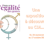 Exposition « cartooning for peace »